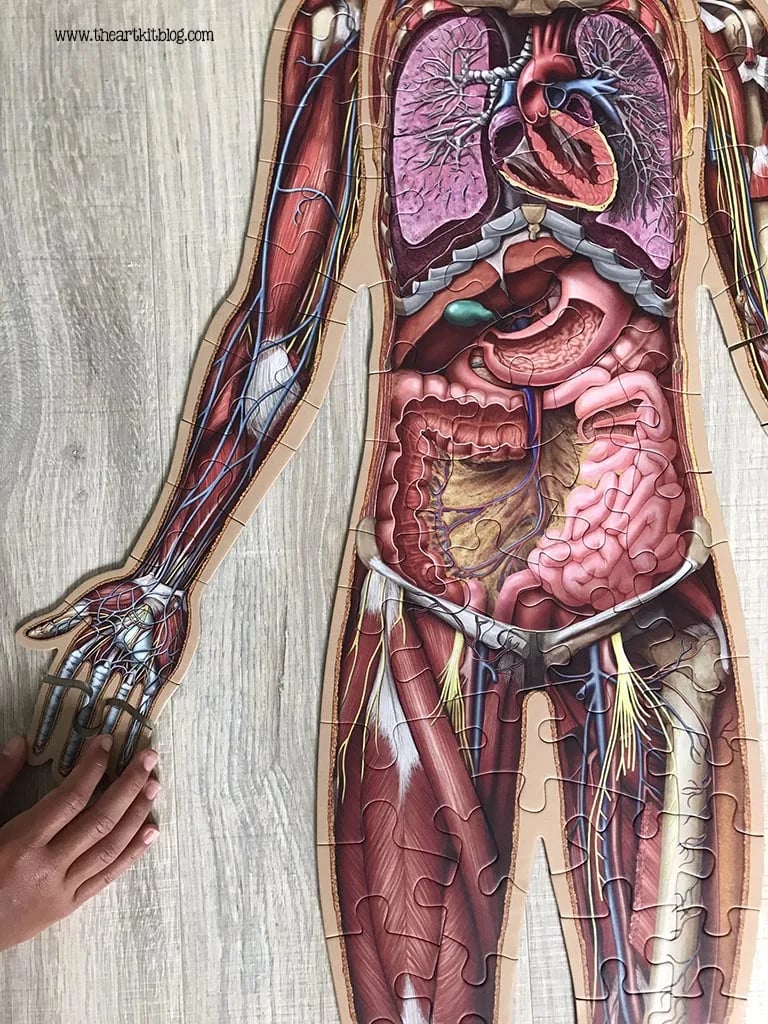 Golvpussel för barn med 100 bitar av människokroppen - ohneen