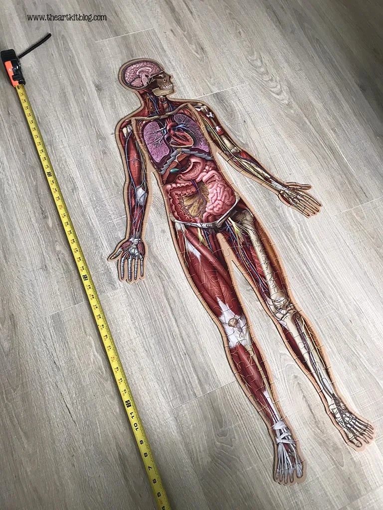 Golvpussel för barn med 100 bitar av människokroppen - ohneen