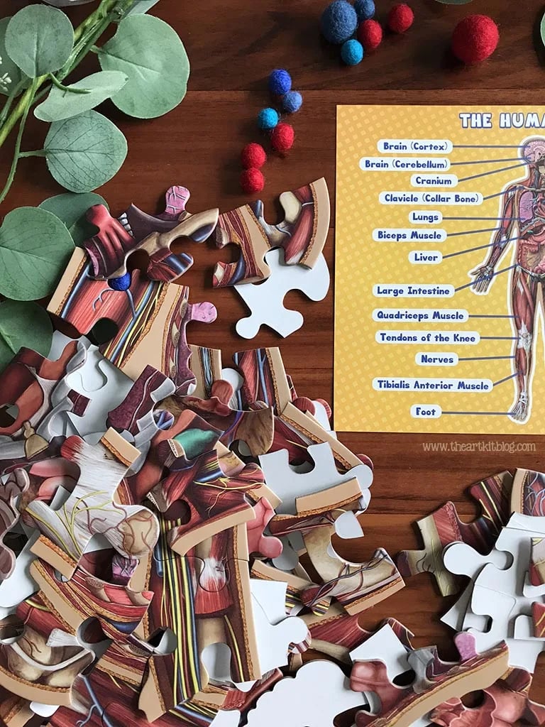 Golvpussel för barn med 100 bitar av människokroppen - ohneen