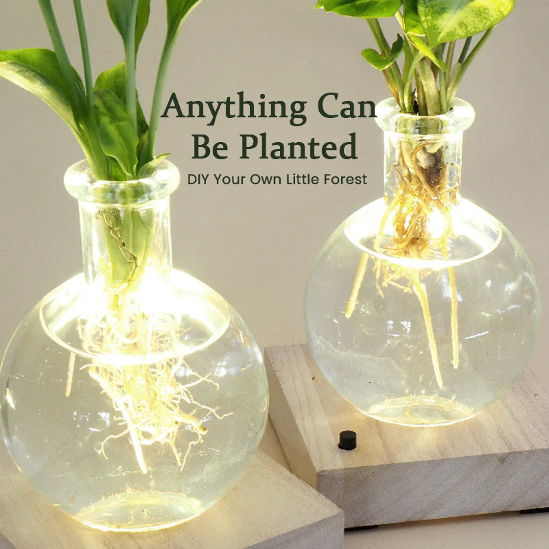 Aura Hydro Lamp - LED Hydroponic Plant Vase with Light, Soil-Free Planter
