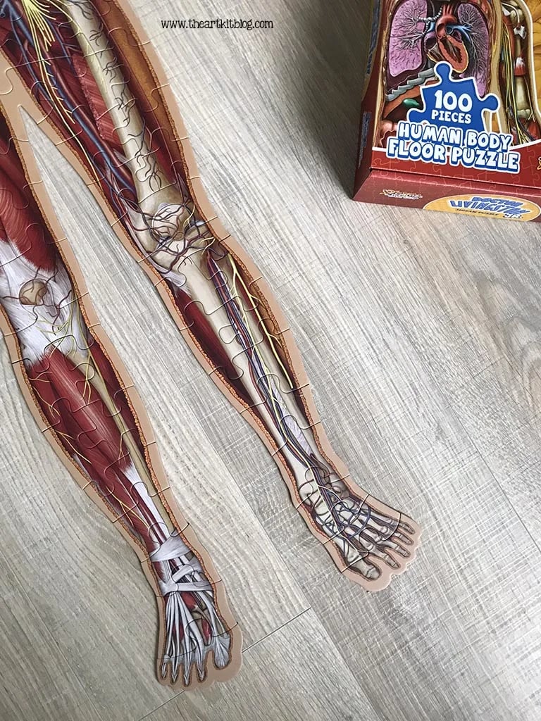 Golvpussel för barn med 100 bitar av människokroppen - ohneen