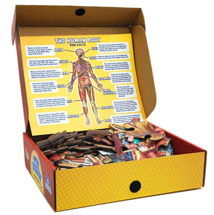 Golvpussel för barn med 100 bitar av människokroppen - ohneen