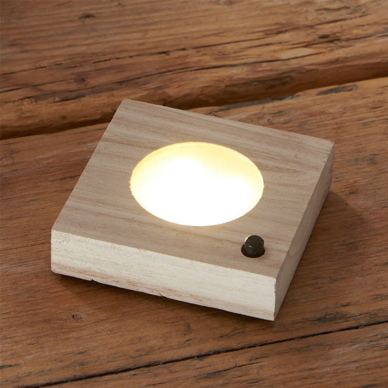 Aura Hydro Lamp - LED Hydroponic Plant Vase with Light, Soil-Free Planter